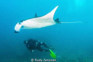 Manta with diver by Rudy Janssen 